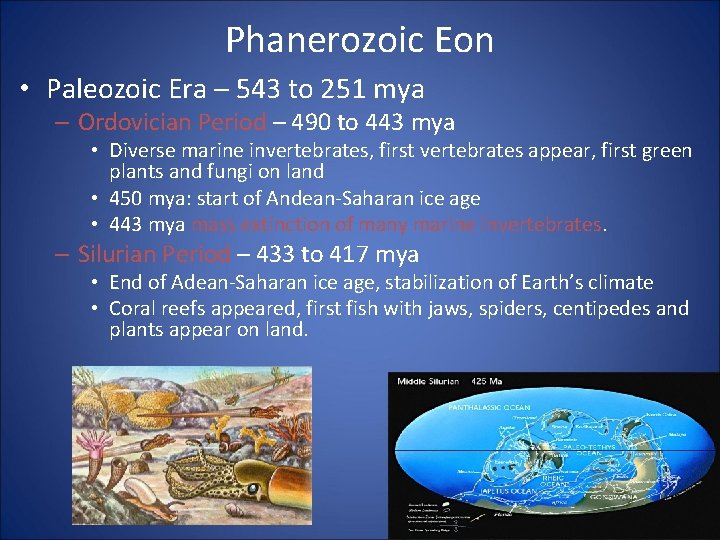 Phanerozoic Eon • Paleozoic Era – 543 to 251 mya – Ordovician Period –