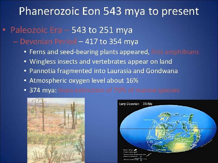 Phanerozoic Eon 543 mya to present • Paleozoic Era – 543 to 251 mya