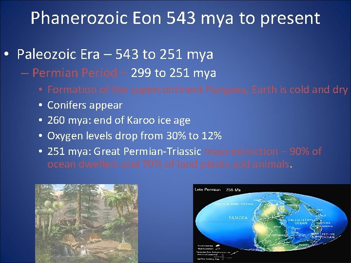 Phanerozoic Eon 543 mya to present • Paleozoic Era – 543 to 251 mya