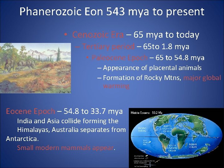 Phanerozoic Eon 543 mya to present • Cenozoic Era – 65 mya to today
