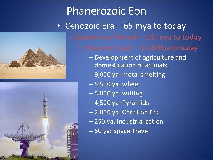 Phanerozoic Eon • Cenozoic Era – 65 mya to today – Quaternary Period –
