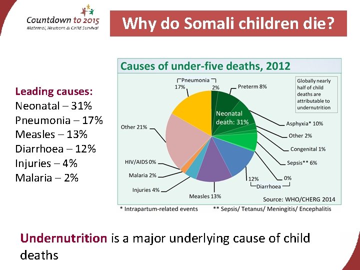 Why do Somali children die? Leading causes: Neonatal – 31% Pneumonia – 17% Measles