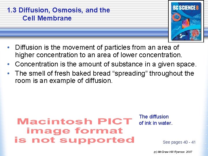 1. 3 Diffusion, Osmosis, and the Cell Membrane • Diffusion is the movement of