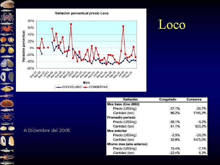 Loco A Diciembre del 2005 
