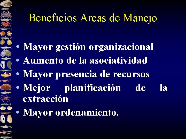 Beneficios Areas de Manejo • Mayor gestión organizacional • Aumento de la asociatividad •
