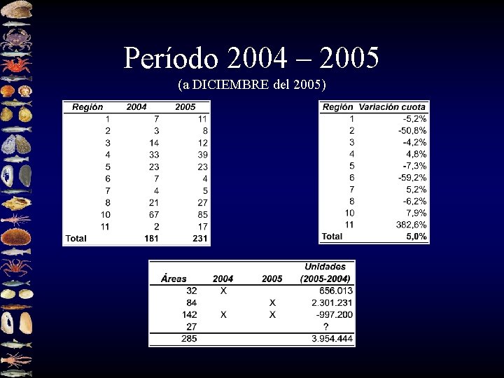 Período 2004 – 2005 (a DICIEMBRE del 2005) 