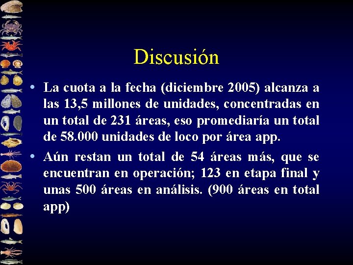 Discusión • La cuota a la fecha (diciembre 2005) alcanza a las 13, 5