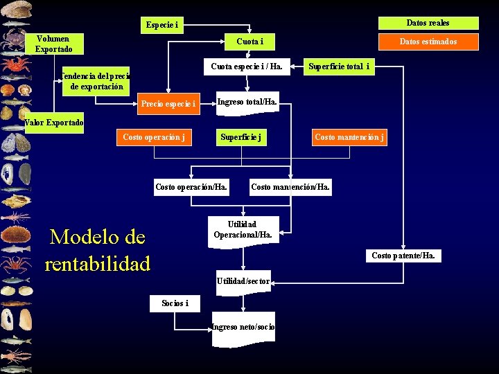 Datos reales Especie i Volumen Exportado Cuota i Cuota especie i / Ha. Datos