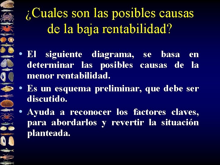 ¿Cuales son las posibles causas de la baja rentabilidad? • El siguiente diagrama, se