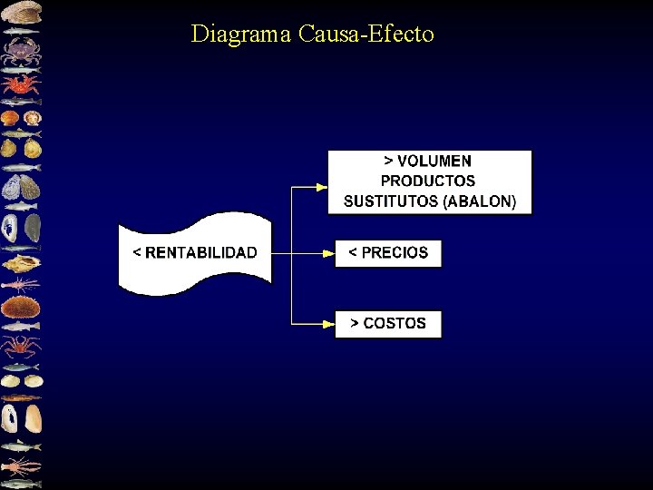 Diagrama Causa-Efecto 