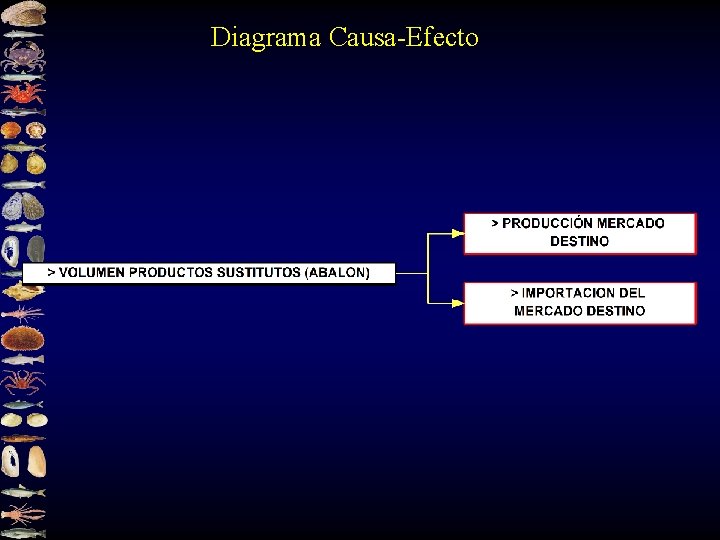 Diagrama Causa-Efecto 
