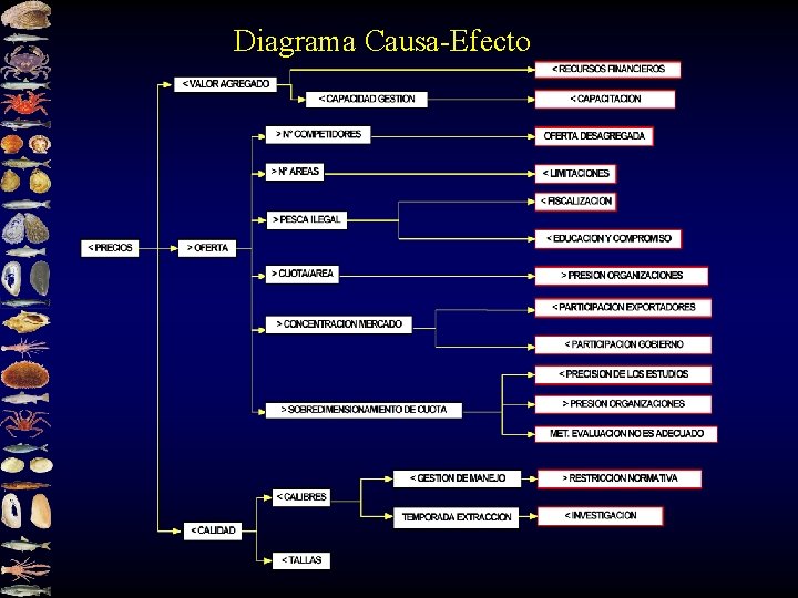 Diagrama Causa-Efecto 