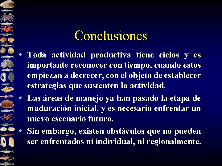 Conclusiones • Toda actividad productiva tiene ciclos y es importante reconocer con tiempo, cuando