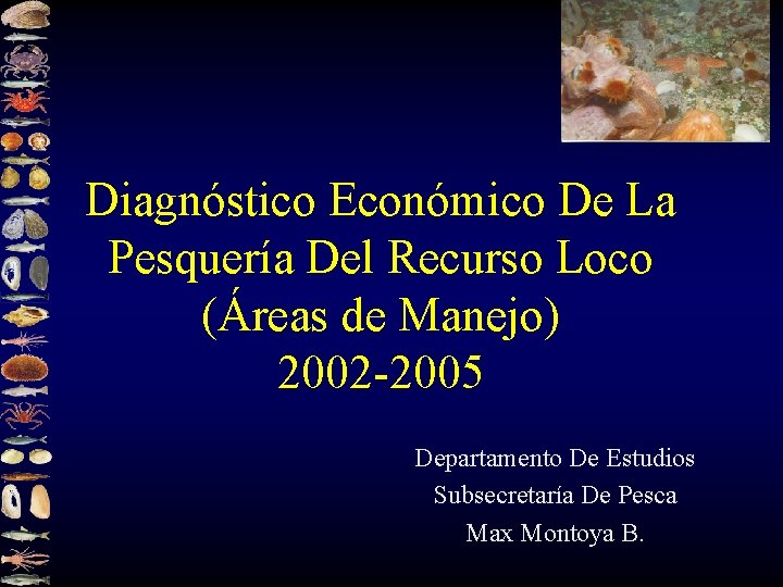 Diagnóstico Económico De La Pesquería Del Recurso Loco (Áreas de Manejo) 2002 -2005 Departamento