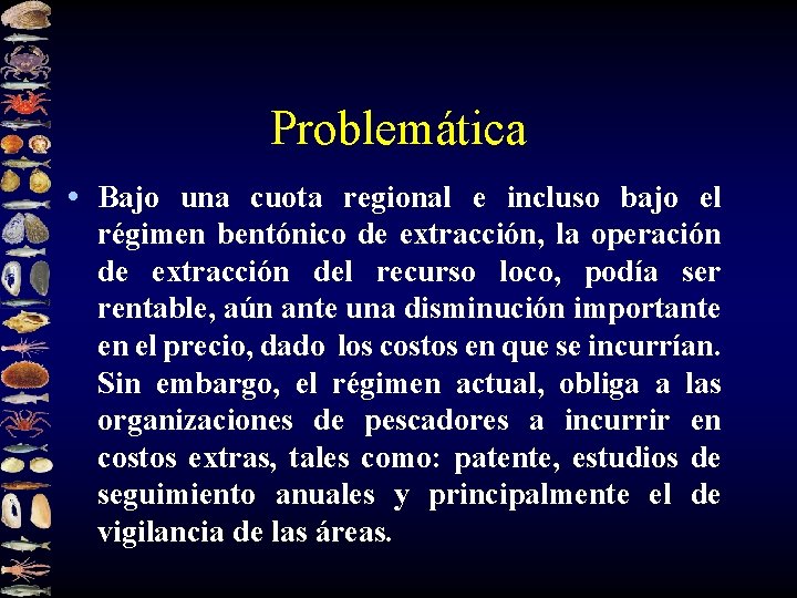 Problemática • Bajo una cuota regional e incluso bajo el régimen bentónico de extracción,