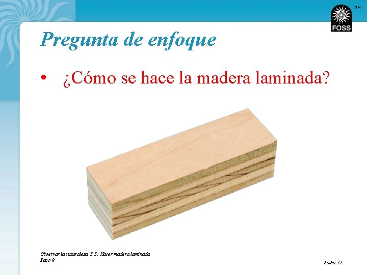 TM Pregunta de enfoque • ¿Cómo se hace la madera laminada? Observar la naturaleza,