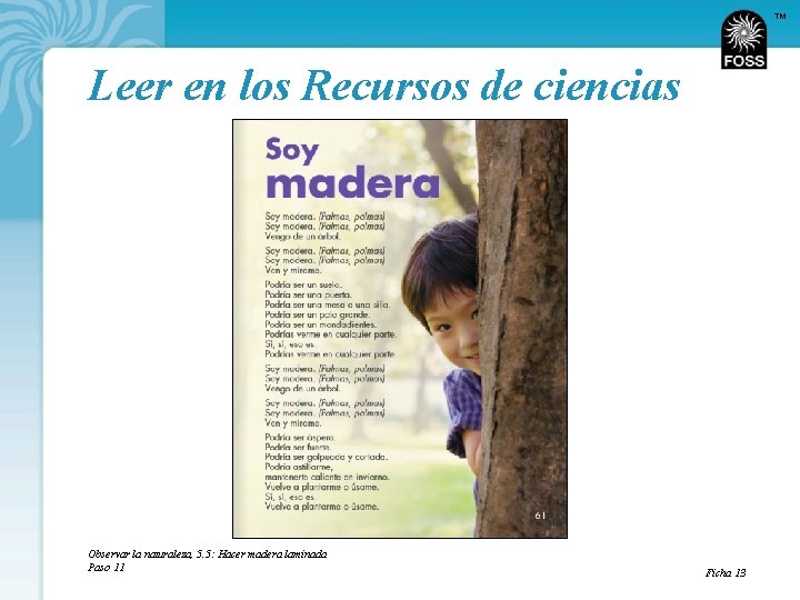 TM Leer en los Recursos de ciencias Observar la naturaleza, 5. 5: Hacer madera