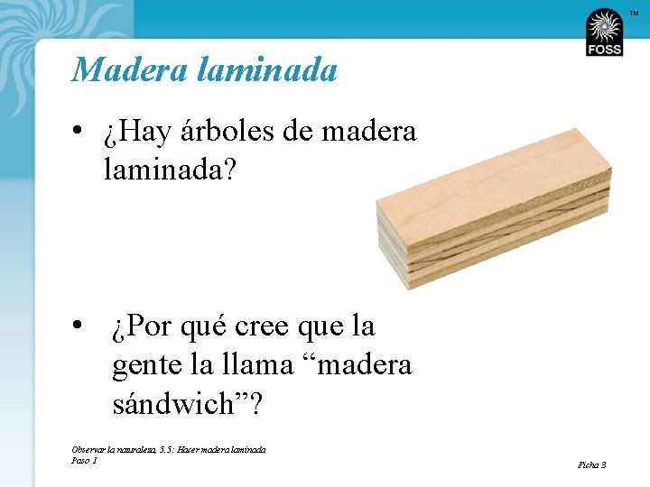 TM Madera laminada • ¿Hay árboles de madera laminada? • ¿Por qué cree que