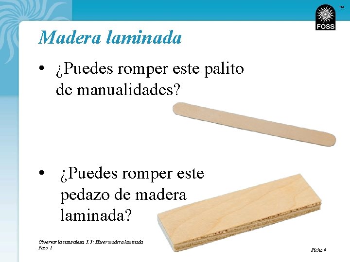 TM Madera laminada • ¿Puedes romper este palito de manualidades? • ¿Puedes romper este