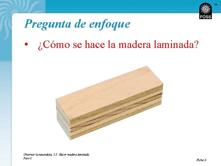 TM Pregunta de enfoque • ¿Cómo se hace la madera laminada? Observar la naturaleza,