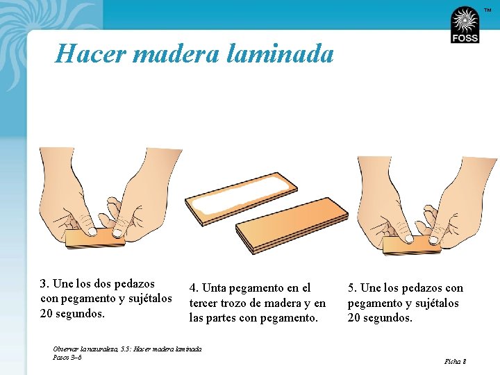 TM Hacer madera laminada 3. Une los dos pedazos con pegamento y sujétalos 20