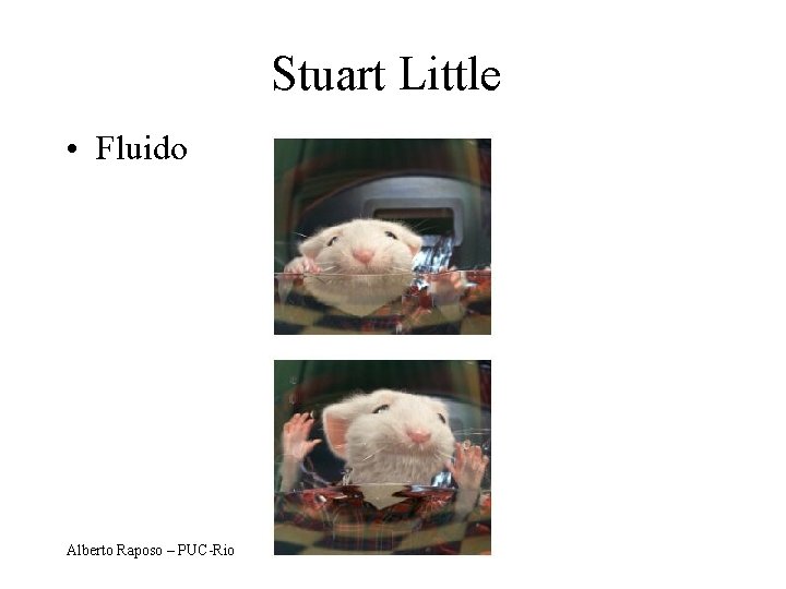 Stuart Little • Fluido Alberto Raposo – PUC-Rio 