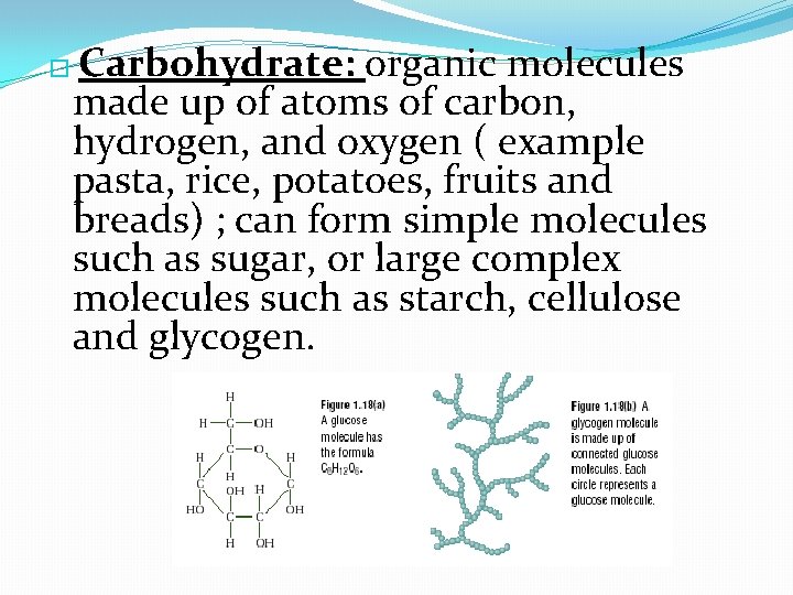 Carbohydrate: organic molecules made up of atoms of carbon, hydrogen, and oxygen ( example