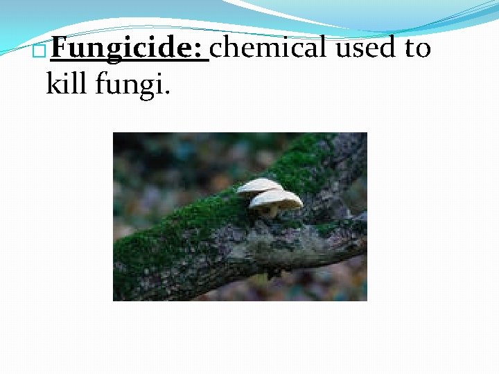 Fungicide: chemical used to kill fungi. � 