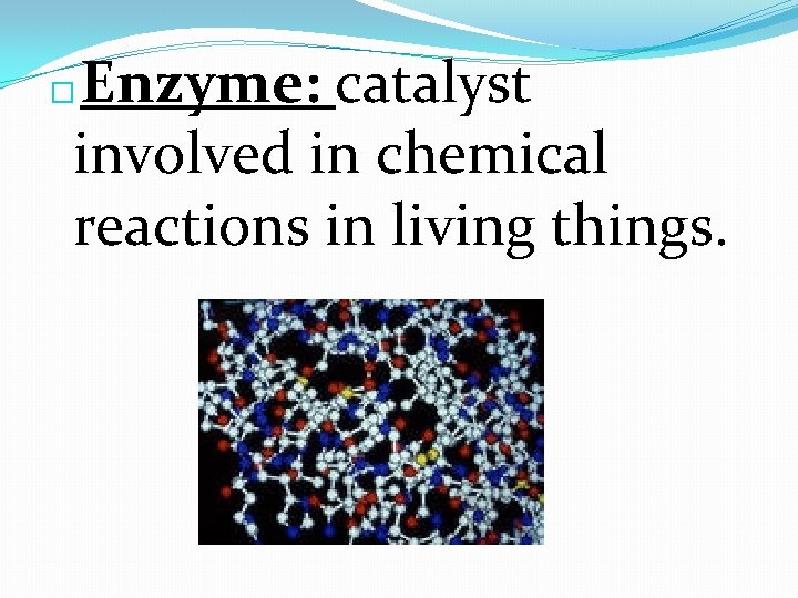 Enzyme: catalyst involved in chemical reactions in living things. � 