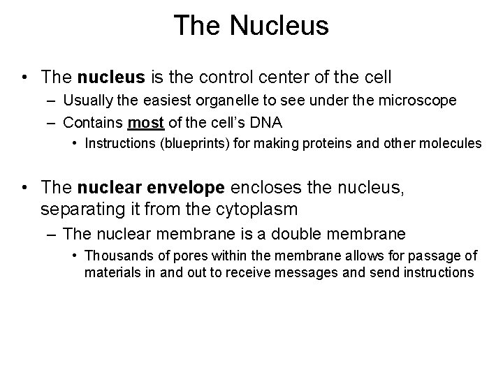 The Nucleus • The nucleus is the control center of the cell – Usually