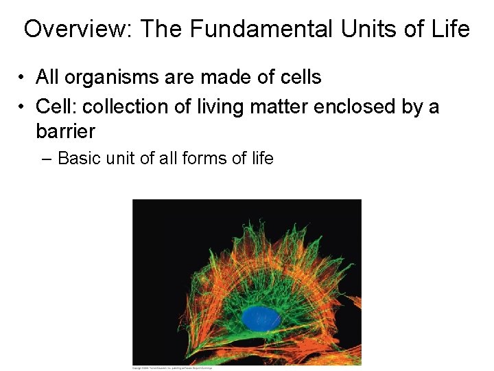 Overview: The Fundamental Units of Life • All organisms are made of cells •