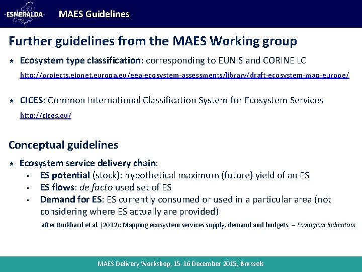 MAES Guidelines Further guidelines from the MAES Working group Ecosystem type classification: corresponding to