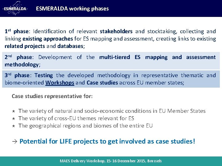 ESMERALDA working phases 1 st phase: Identification of relevant stakeholders and stocktaking, collecting and