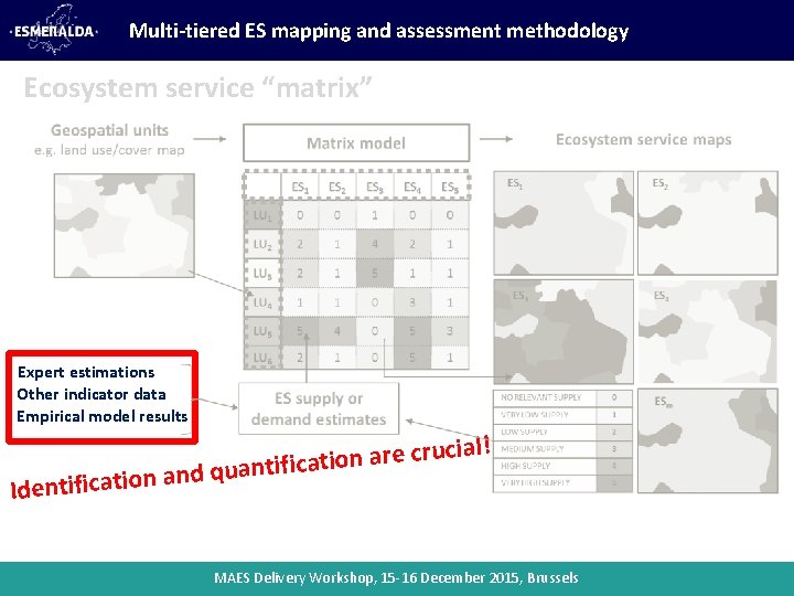 Multi-tiered ES mapping and assessment methodology Ecosystem service “matrix” Expert estimations Other indicator data