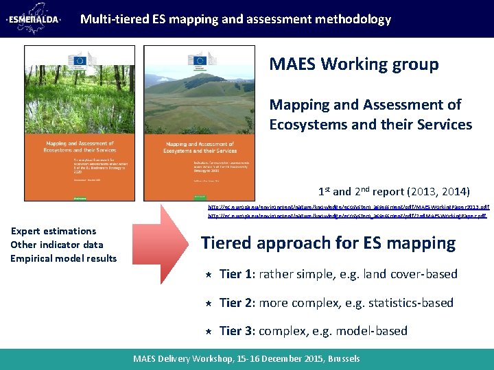 Multi-tiered ES mapping and assessment methodology MAES Working group Mapping and Assessment of Ecosystems