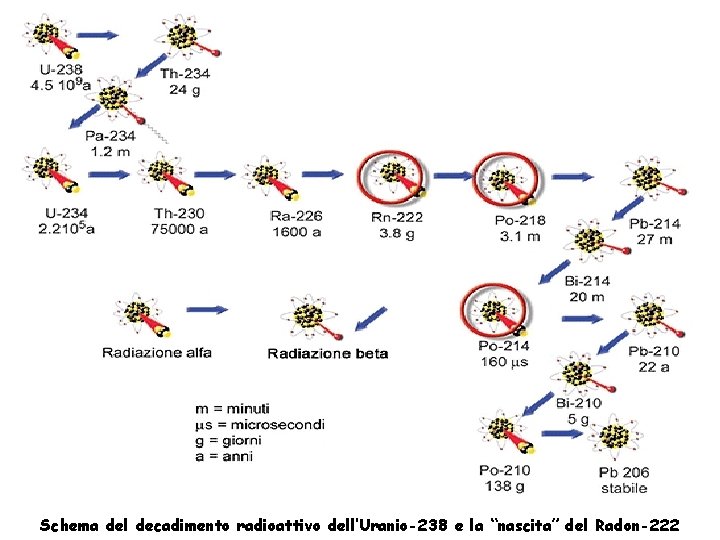 Schema del decadimento radioattivo dell’Uranio-238 e la “nascita” del Radon-222 