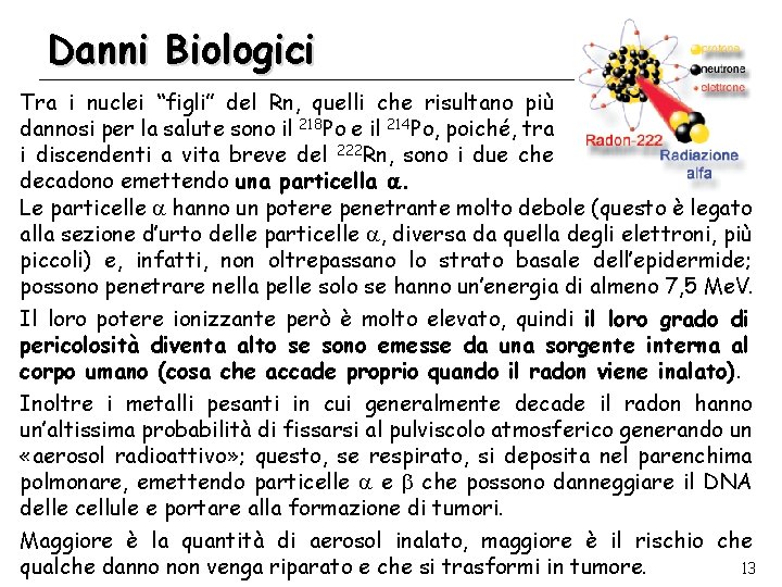 Danni Biologici Tra i nuclei “figli” del Rn, quelli che risultano più dannosi per