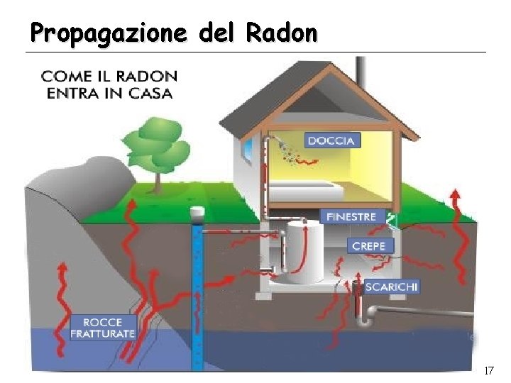 Propagazione del Radon 17 