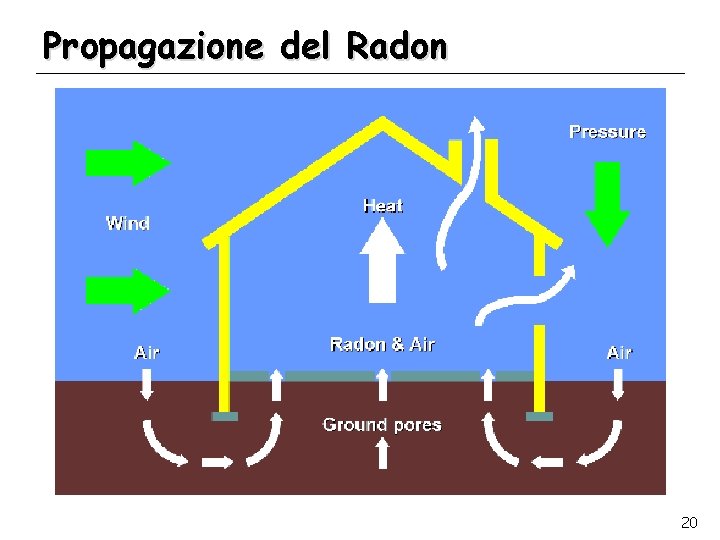 Propagazione del Radon 20 