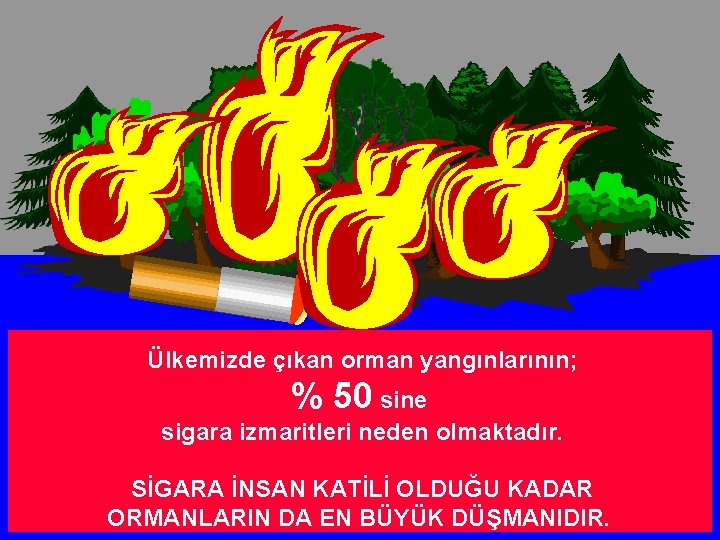 Ülkemizde çıkan orman yangınlarının; % 50 sine sigara izmaritleri neden olmaktadır. SİGARA İNSAN KATİLİ