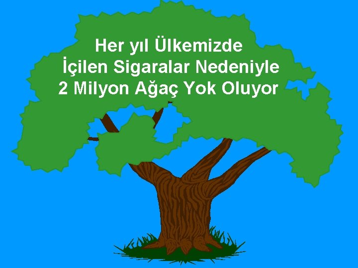 Her yıl Ülkemizde İçilen Sigaralar Nedeniyle 2 Milyon Ağaç Yok Oluyor 
