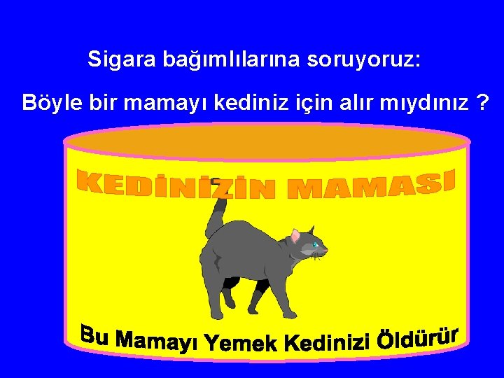 Sigara bağımlılarına soruyoruz: Böyle bir mamayı kediniz için alır mıydınız ? 