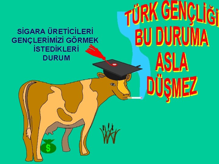 SİGARA ÜRETİCİLERİ GENÇLERİMİZİ GÖRMEK İSTEDİKLERİ DURUM 