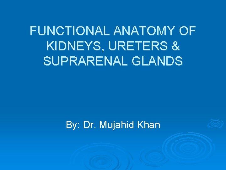 FUNCTIONAL ANATOMY OF KIDNEYS, URETERS & SUPRARENAL GLANDS By: Dr. Mujahid Khan 