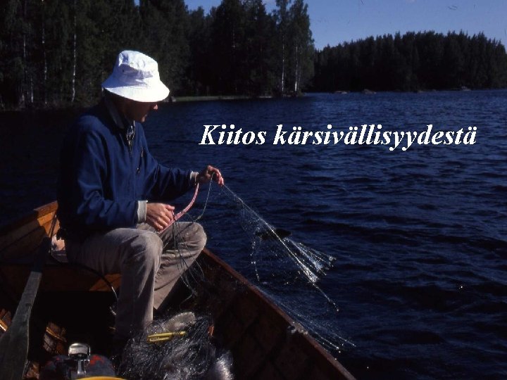 Kiitos kärsivällisyydestä 