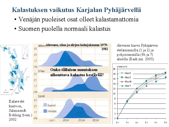 Kalastuksen vaikutus Karjalan Pyhäjärvellä • Venäjän puoleiset osat olleet kalastamattomia • Suomen puolella normaali Kalastuksen vaikutus Karjalan Pyhäjärvellä • Venäjän puoleiset osat olleet kalastamattomia • Suomen puolella normaali