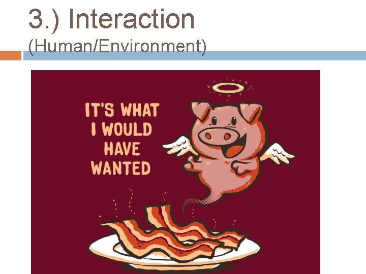 3. ) Interaction (Human/Environment) 