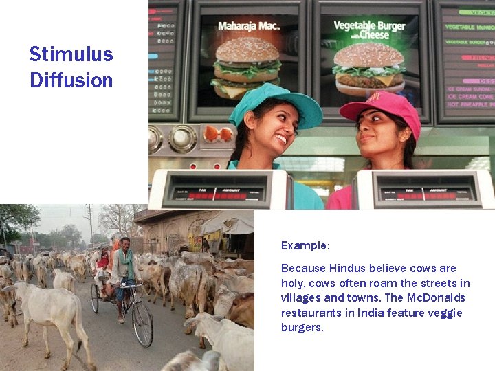 Stimulus Diffusion Example: Because Hindus believe cows are holy, cows often roam the streets