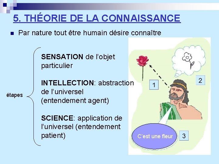 5. THÉORIE DE LA CONNAISSANCE n Par nature tout être humain désire connaître SENSATION