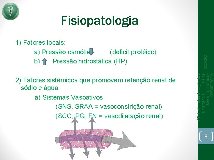 2) Fatores sistêmicos que promovem retenção renal de sódio e água a) Sistemas Vasoativos